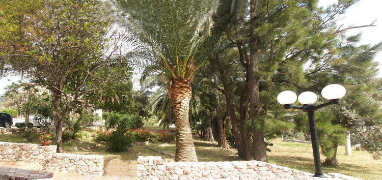 Villa del monolocale di Torrenova vicino Capo d'Orlando - Sicilia 80NT